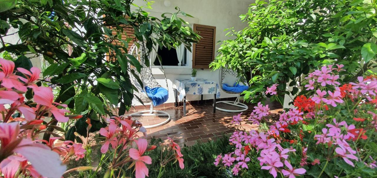 New!!! New Riva Luxury One - With Sunny Terrace & Big Garden Lägenhet Poreč Exteriör bild